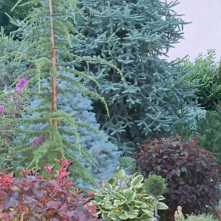 U Zahradnikov * Trebostovo